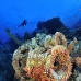 numidia_bro_b_v_0270_egy0632.jpg